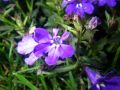 2010 05 24 jeanmarcperfetti.com 053.JPG